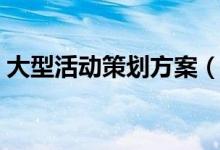 大型活动策划方案（大型活动策划方案示例）