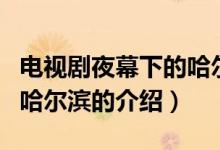 电视剧夜幕下的哈尔滨（关于电视剧夜幕下的哈尔滨的介绍）