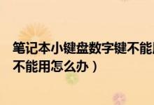 笔记本小键盘数字键不能用怎么回事（笔记本小键盘数字键不能用怎么办）