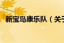 新宝岛康乐队（关于新宝岛康乐队的介绍）