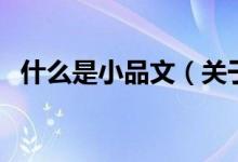 什么是小品文（关于什么是小品文的介绍）