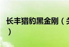 长丰猎豹黑金刚（关于长丰猎豹黑金刚的介绍）