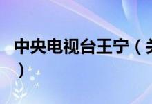 中央电视台王宁（关于中央电视台王宁的介绍）