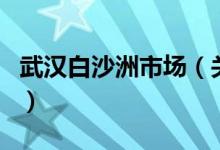 武汉白沙洲市场（关于武汉白沙洲市场的介绍）