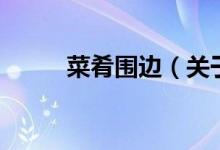 菜肴围边（关于菜肴围边的介绍）