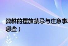 貔貅的摆放禁忌与注意事项（貔貅摆放禁忌与注意事项都有哪些）