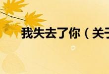 我失去了你（关于我失去了你的介绍）