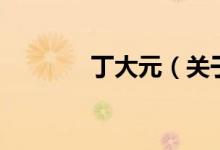 丁大元（关于丁大元的介绍）