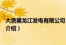 大唐黑龙江发电有限公司（关于大唐黑龙江发电有限公司的介绍）