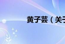 黄子芸（关于黄子芸的介绍）