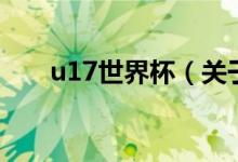 u17世界杯（关于u17世界杯的介绍）