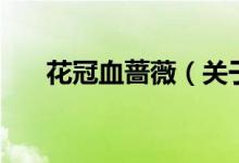 花冠血蔷薇（关于花冠血蔷薇的介绍）