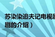 苏染染追夫记电视剧（关于苏染染追夫记电视剧的介绍）