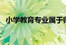 小学教育专业属于师范类吗（前景怎么样）