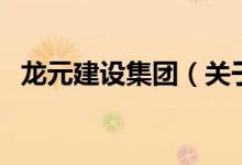 龙元建设集团（关于龙元建设集团的介绍）