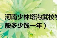 河南少林塔沟武校学费（少林塔沟武校学费一般多少钱一年）