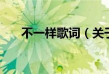 不一样歌词（关于不一样歌词的介绍）