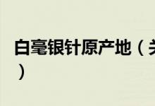 白毫银针原产地（关于白毫银针原产地的介绍）