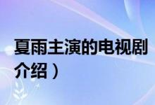 夏雨主演的电视剧（关于夏雨主演的电视剧的介绍）