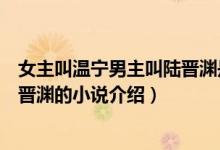 女主叫温宁男主叫陆晋渊是什么小说（女主叫温宁男主叫陆晋渊的小说介绍）