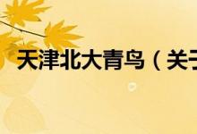 天津北大青鸟（关于天津北大青鸟的介绍）