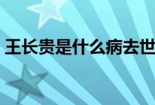 王长贵是什么病去世的（你有看过这部剧吗）