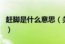 赶脚是什么意思（关于赶脚是什么意思的介绍）