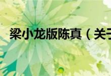 梁小龙版陈真（关于梁小龙版陈真的介绍）