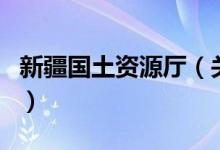 新疆国土资源厅（关于新疆国土资源厅的介绍）