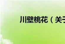 川壁桃花（关于川壁桃花的介绍）