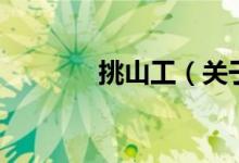 挑山工（关于挑山工的介绍）