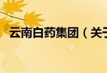 云南白药集团（关于云南白药集团的介绍）
