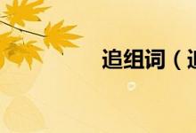 追组词（追读音及解释）