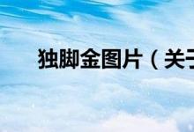 独脚金图片（关于独脚金图片的介绍）