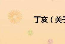 丁亥（关于丁亥的介绍）