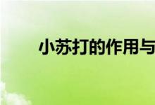 小苏打的作用与功效（小苏打介绍）