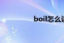 boil怎么读（boil解释）