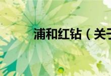 浦和红钻（关于浦和红钻的介绍）