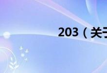 203（关于203的介绍）