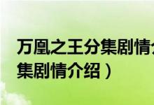 万凰之王分集剧情介绍（电视剧万凰之王1-5集剧情介绍）