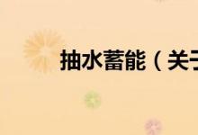 抽水蓄能（关于抽水蓄能的介绍）