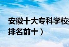 安徽十大专科学校排名2022（高职高专院校排名前十）