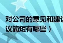 对公司的意见和建议简短（对公司的意见和建议简短有哪些）