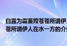 白露为霜蒹葭苍苍所谓伊人在水一方（关于白露为霜蒹葭苍苍所谓伊人在水一方的介绍）