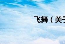飞舞（关于飞舞的介绍）