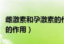 雌激素和孕激素的作用时间（雌激素和孕激素的作用）