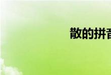 散的拼音（散组词）