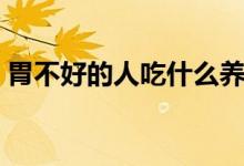 胃不好的人吃什么养胃（哪些食物能养胃呢）