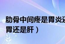 肋骨中间疼是胃炎还是胆囊炎（肋骨中间疼是胃还是肝）