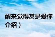 醒来觉得甚是爱你（关于醒来觉得甚是爱你的介绍）